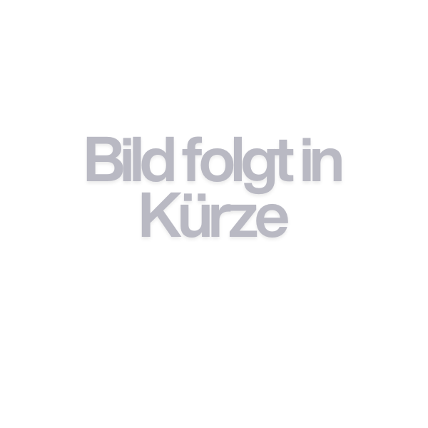 Anycubic ACE 2 Pro Sistema Multicolore